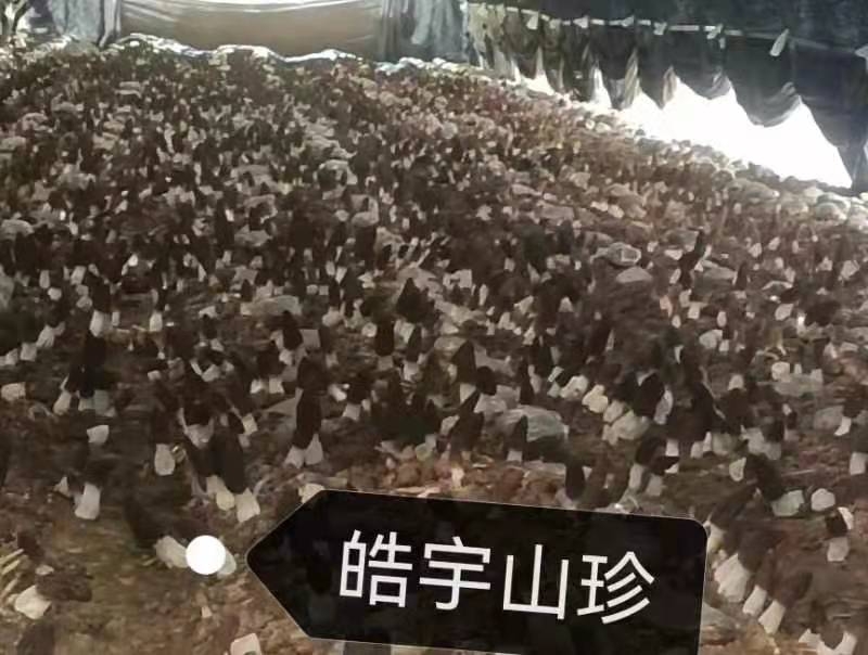 &#24320;&#20803;&#32593;&#31449;&#30331;&#24405;&#20837;&#21475;&#95;&#24320;&#20803;&#65288;&#20013;&#22269;&#65289;